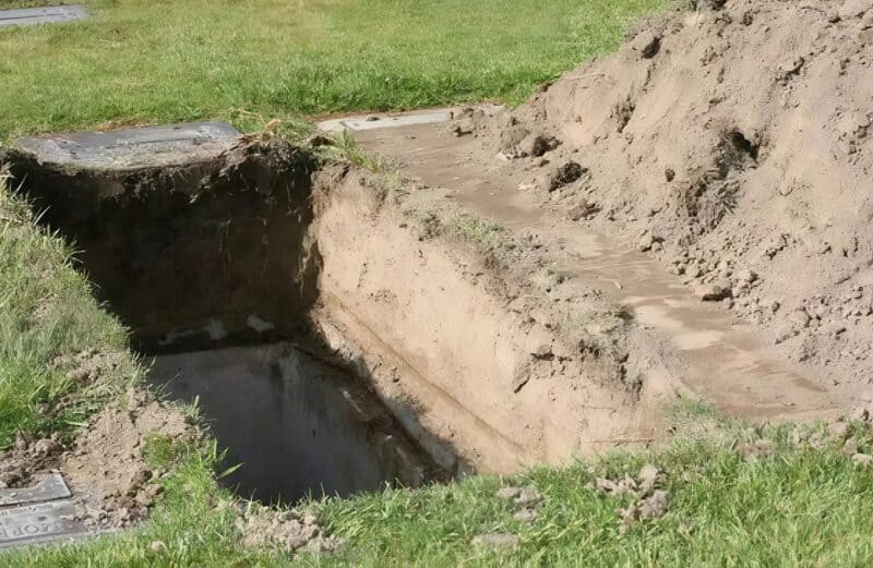 Во время похорон из леса появилась лошадь и бежала прямо к гробу: присутствующие были в шоке, узнав, зачем животное так делает