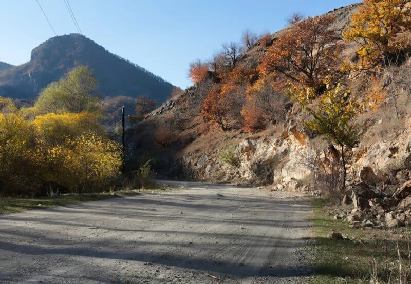 Мы ехали по трассе, когда на дорогу внезапно выскочил огромный медведь и начал медленно двигаться в сторону нашей машины:  В ужасе мы были уверены, что зверь собирается напасть, пока не произошло нечто неожиданное…