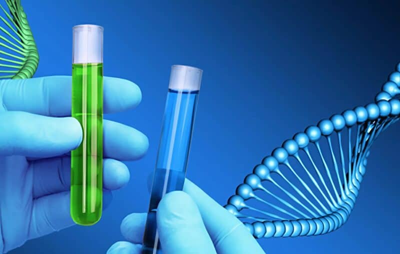 Свекровь обвинила меня в том, что мои дети не от мужа, и настояла на том, чтобы при всех родственниках зачитали результаты ДНК-теста, надеясь опозорить меня: но в итоге опозорилась сама, потому что я раскрыла тайну из её молодости