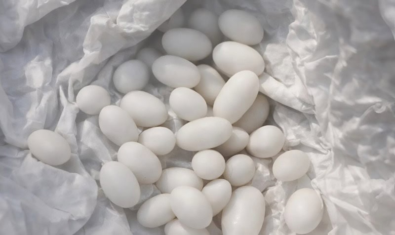 Я нашла странные белые шарики в рюкзаке своего 15-летнего сына: он говорит, что это всего лишь конфеты, но я ему не верю