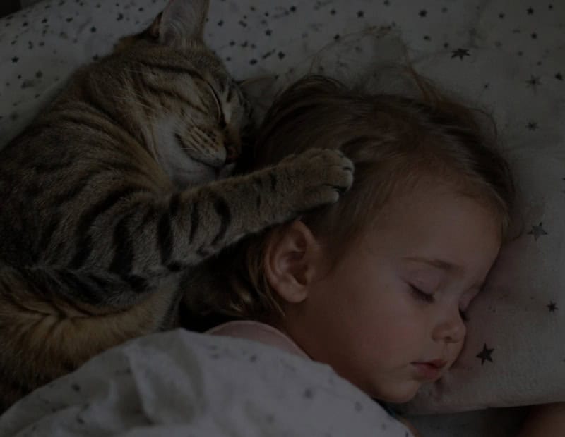 Кошка каждую ночь засыпала рядом с двухлетней дочерью и клала свою лапу ей на лицо; Родители в панике решили избавиться от питомца, пока не приехал педиатр и не раскрыл правду, от которой у всех пропал дар речи